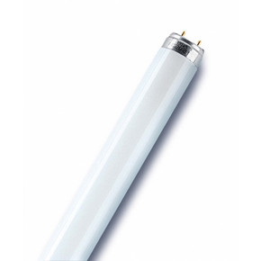 ЛД 40 (L40 - 765) Лампа люминесцентная (30)