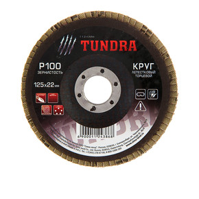 Круг лепестковый торцевой TUNDRA basic, 125 х 22 мм, Р100 1124386